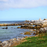 stony sea shore photo