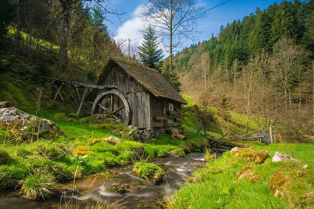 Forest, stream and mill