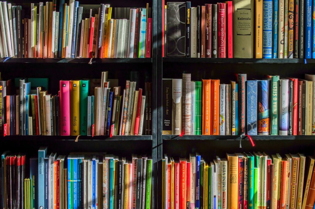 Bookshelves filled with colourful books