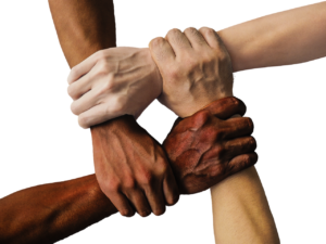 Four hands of people of different ethnicities/skin colours gripping one another's wrists, locked together in a square arrangement representing interracial solidarity.  From Pixabay - https://pixabay.com/photos/hands-team-united-together-people-1917895/