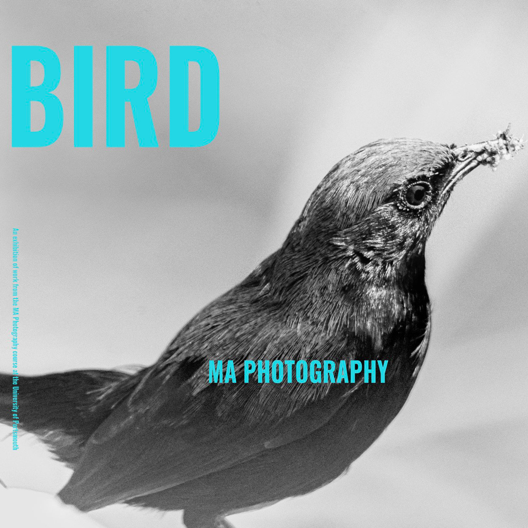 Take flight for new photography exhibition “BIRD”