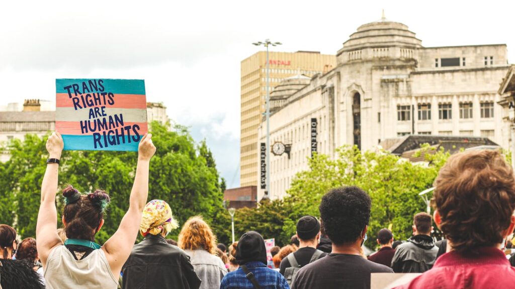 Trans pride march. A placard reads, "trans rights are human rights".  From Pixabay - https://www.pexels.com/photo/people-standing-and-holding-blue-and-white-banner-6054385/