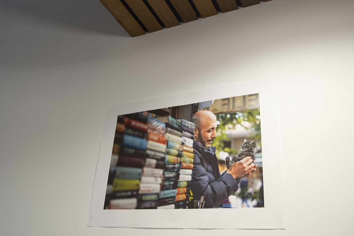 Man cuddling a kitten outside a bookshop in Istanbul