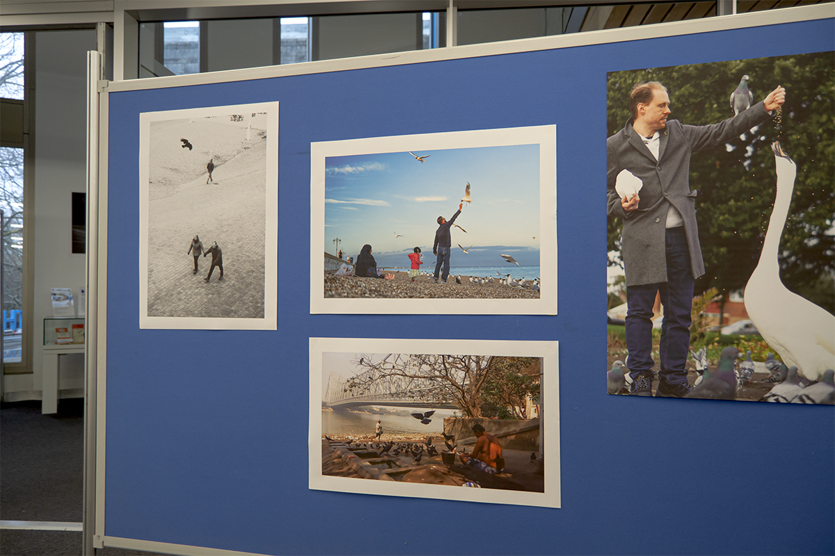 Photographs of people interacting with birds