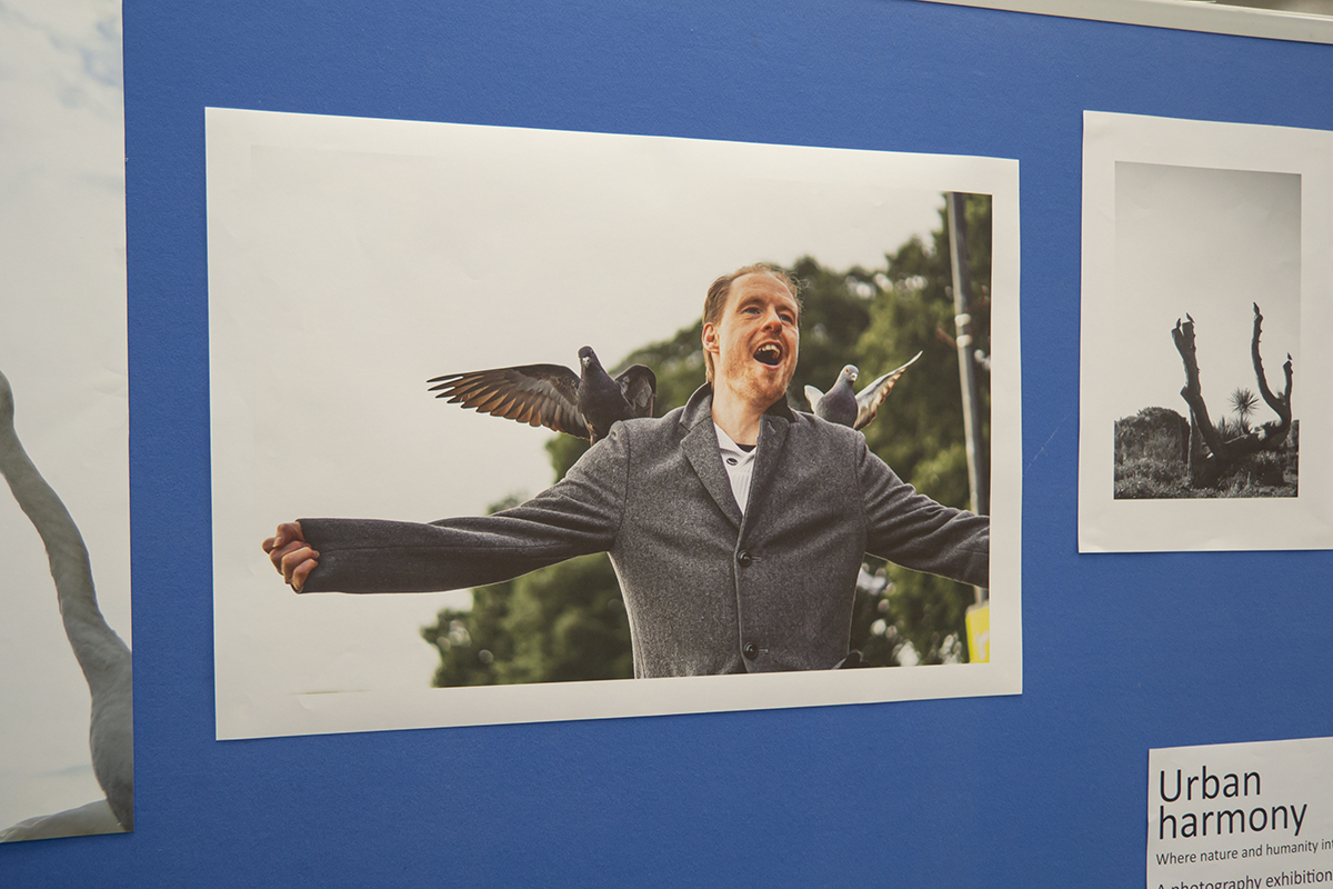 Man with pigeons landing on both his shoulders