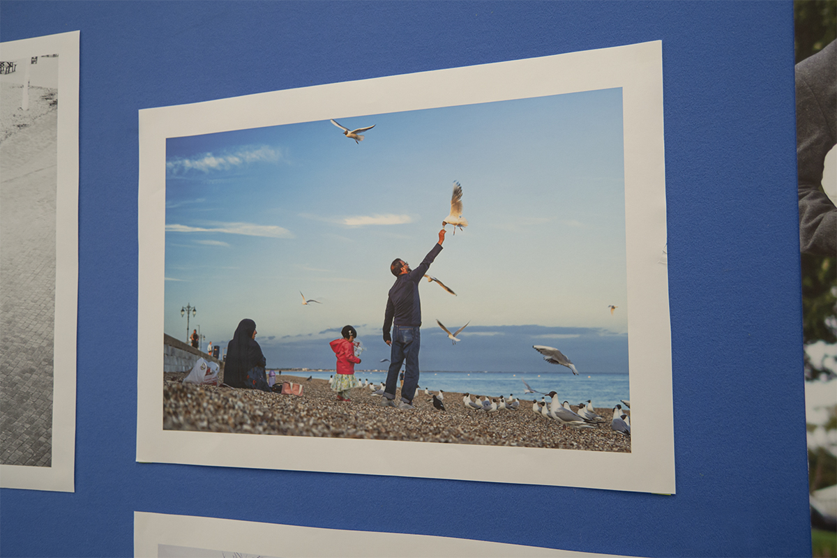 Family feeding seabirds at the beach